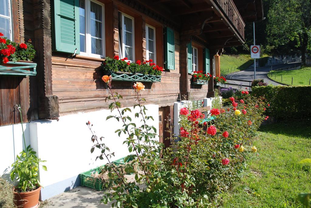 Chalet Tuftbach Daire Grindelwald Dış mekan fotoğraf